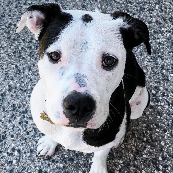 Welcome to POPNCO - Picture 7 of 11